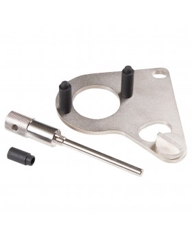 Набор для установки фаз ГРМ Renault, 2 предмета МАСТАК 103-22004-foto2