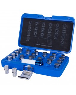 Набор насадок для монтажа/демонтажа секреток колес BMW, 21 предмет KING TONY 9BW0221-foto4