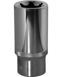 Головка торцевая глубокая 3/8"DR, внешний TORX, E20-foto2