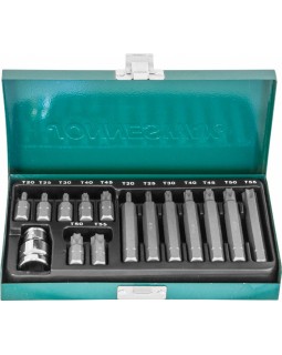Набор вставок-бит 10 мм  TORX (30 и 75 мм), Т20-Т55, 15 предметов-foto2