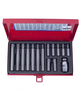 Набор вставок (бит) 10 мм, TORX, Т20-Т55, 15 предметов KING TONY 1015PQ-foto4