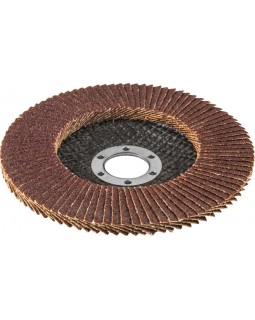 Диск шлифовальный лепестковый торцевой, 125х22.2 мм, Р60-foto3